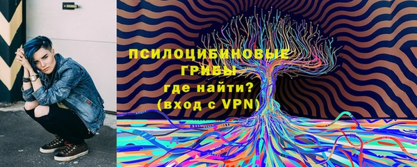 стафф Богородицк