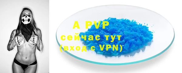 стафф Богородицк